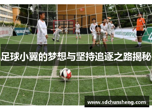 足球小翼的梦想与坚持追逐之路揭秘
