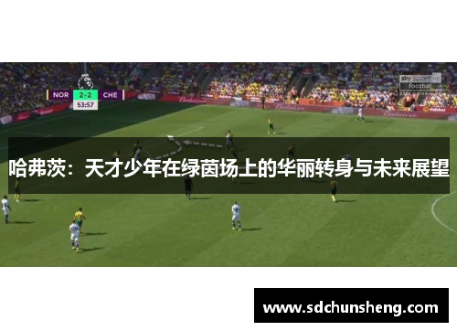 哈弗茨：天才少年在绿茵场上的华丽转身与未来展望
