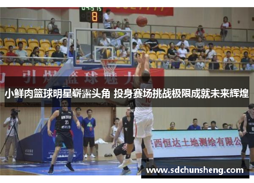 小鲜肉篮球明星崭露头角 投身赛场挑战极限成就未来辉煌