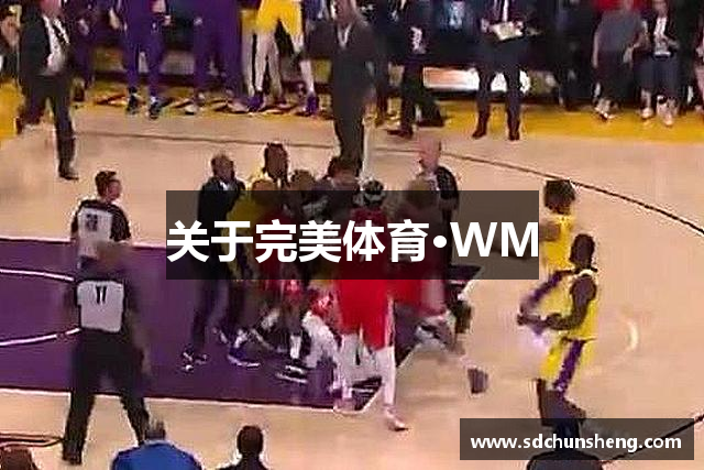 关于完美体育·WM